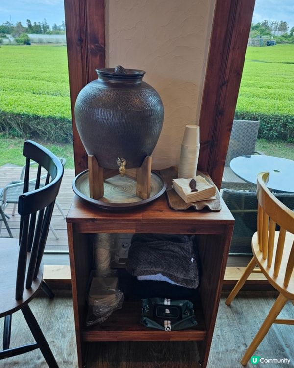 🇰🇷濟州島涯月邑 | 綠茶田中的治癒系咖啡廳「涯月맛차」