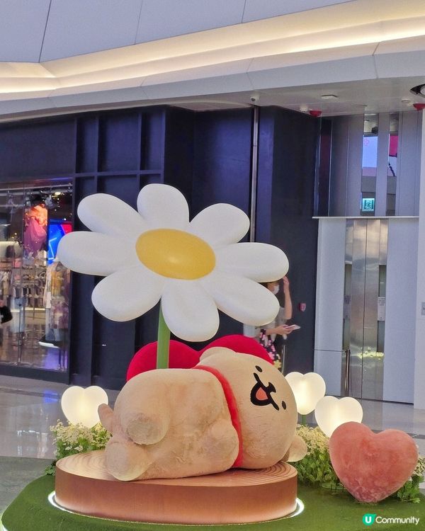 嘩！元朗暑假好去處！🐶📸