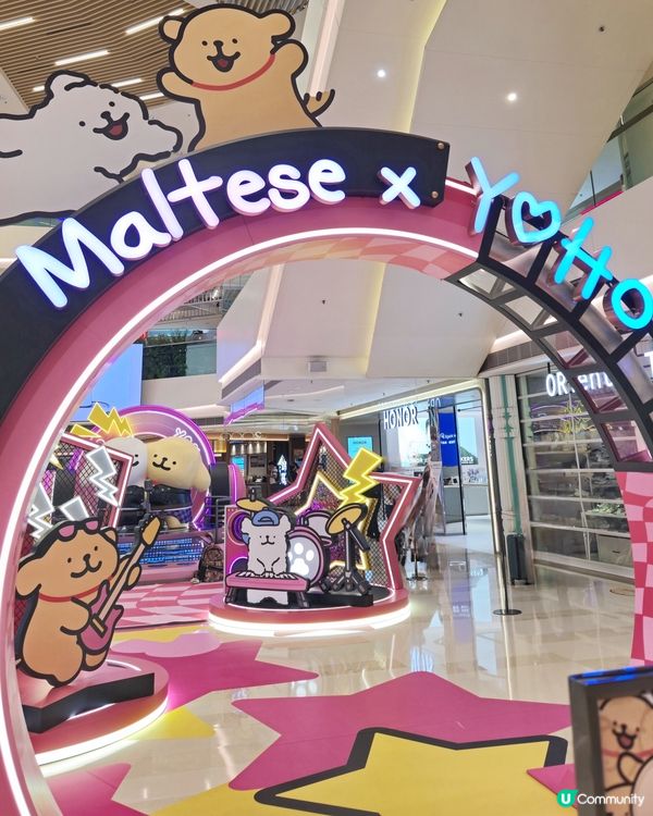 嘩！元朗暑假好去處！🐶📸