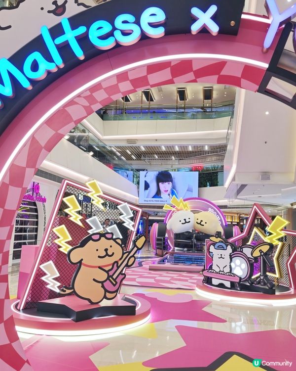 嘩！元朗暑假好去處！🐶📸