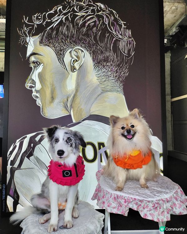 CR7® LIFE 香港博物館正式開幕!