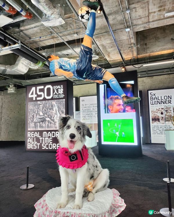 CR7® LIFE 香港博物館正式開幕!