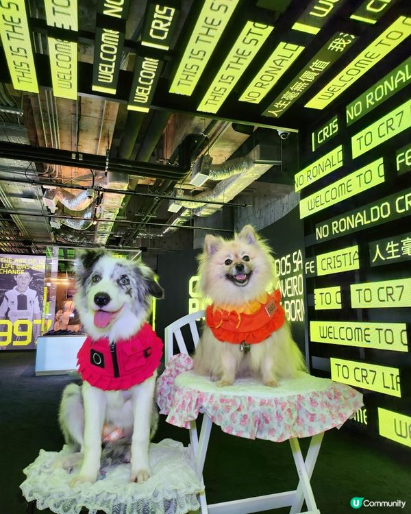 CR7® LIFE 香港博物館正式開幕!