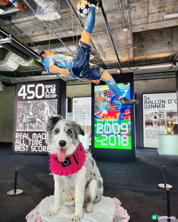 CR7® LIFE 香港博物館正式開幕!