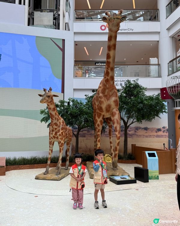 暑假必玩！奧海城動物護理員體驗 🐾