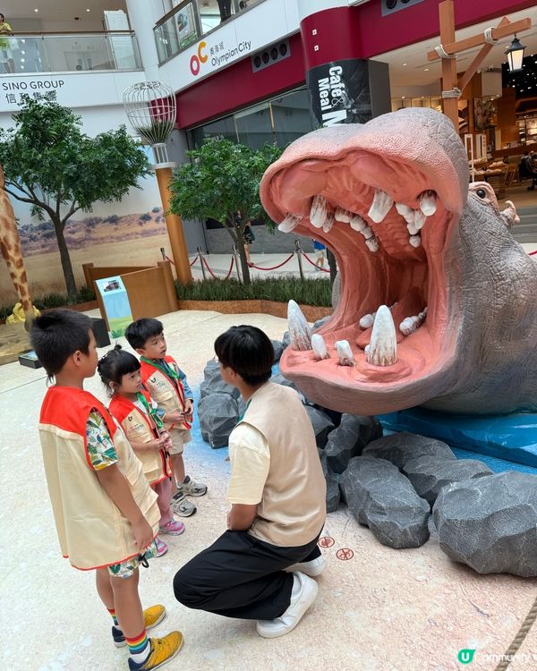 暑假必玩！奧海城動物護理員體驗 🐾