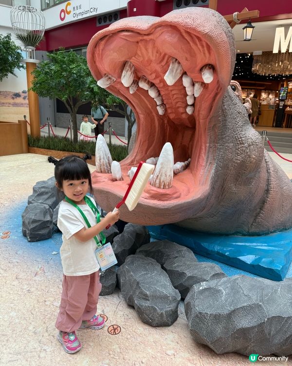 暑假必玩！奧海城動物護理員體驗 🐾