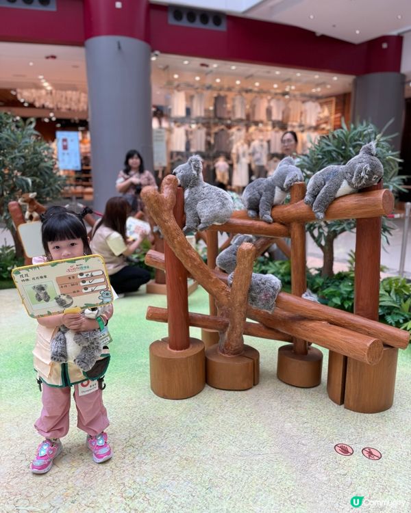 暑假必玩！奧海城動物護理員體驗 🐾