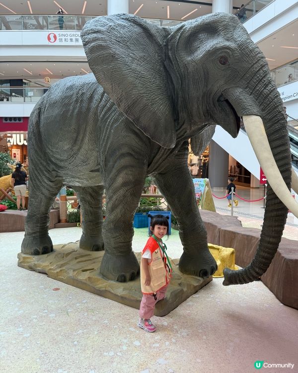 暑假必玩！奧海城動物護理員體驗 🐾