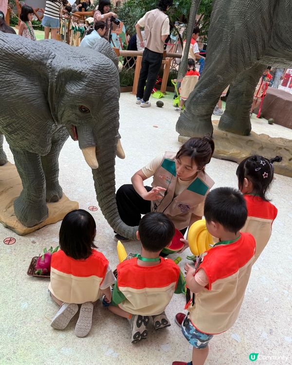 暑假必玩！奧海城動物護理員體驗 🐾