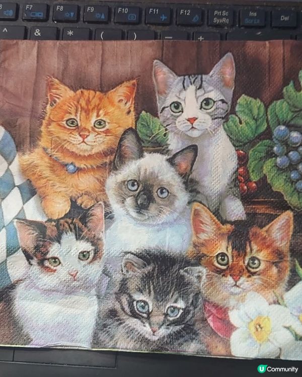 正呀！好幸福呀！