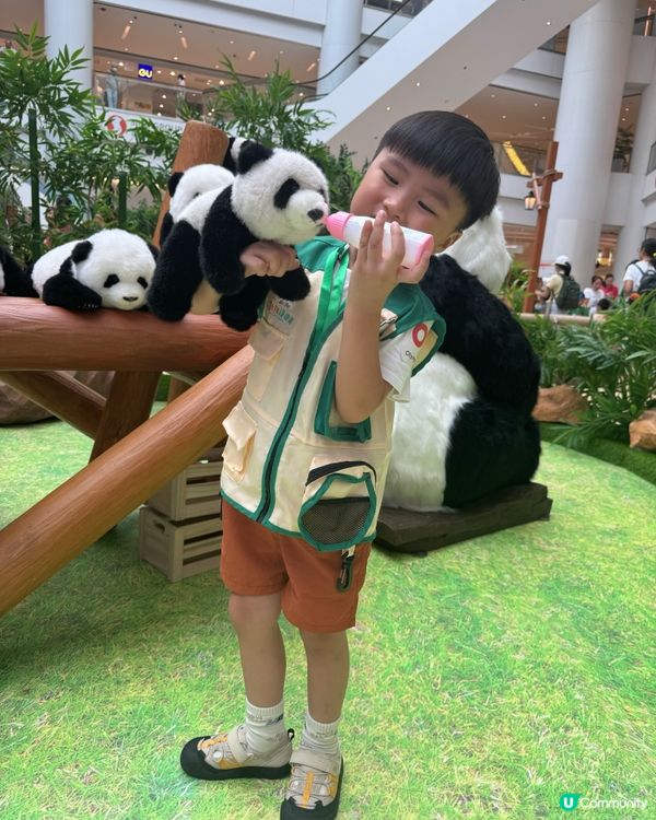 【奧海城 X STAYFUN｢見習動物護理員｣】