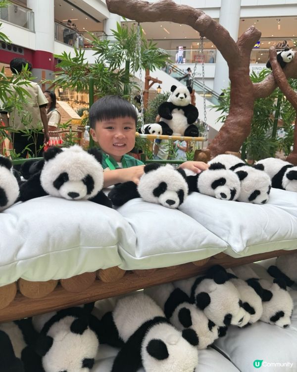 【奧海城 X STAYFUN｢見習動物護理員｣】