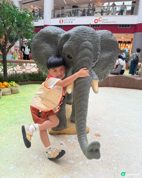 【奧海城 X STAYFUN｢見習動物護理員｣】