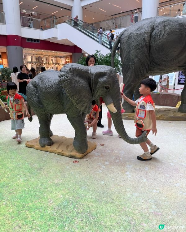 【奧海城 X STAYFUN｢見習動物護理員｣】