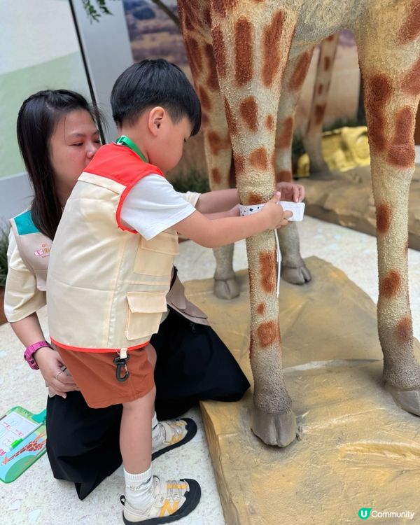 【奧海城 X STAYFUN｢見習動物護理員｣】