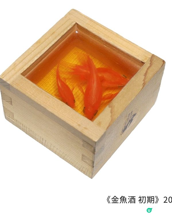 【開眼界系列】畫出嚟嘅2.5D金魚