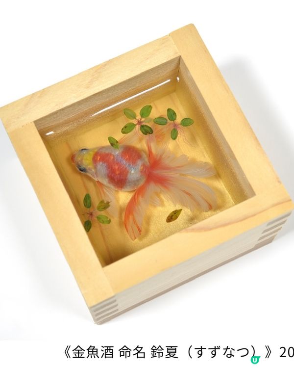 【開眼界系列】畫出嚟嘅2.5D金魚