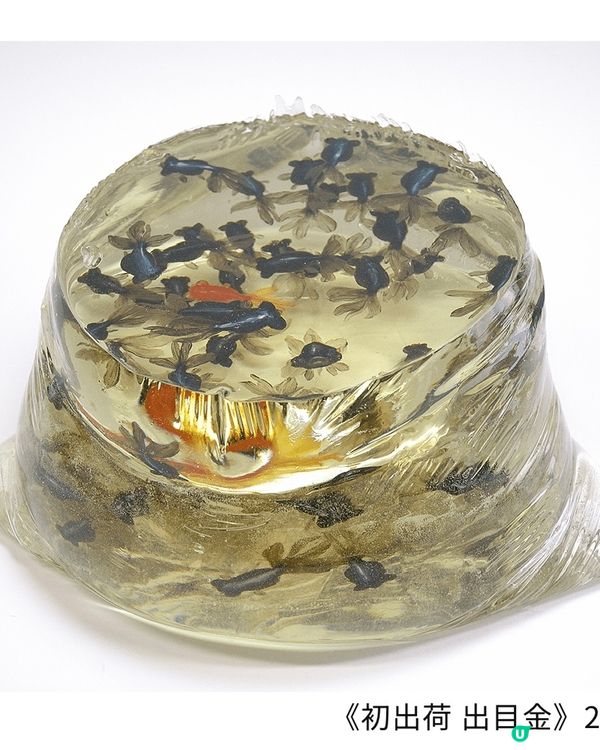 【開眼界系列】畫出嚟嘅2.5D金魚