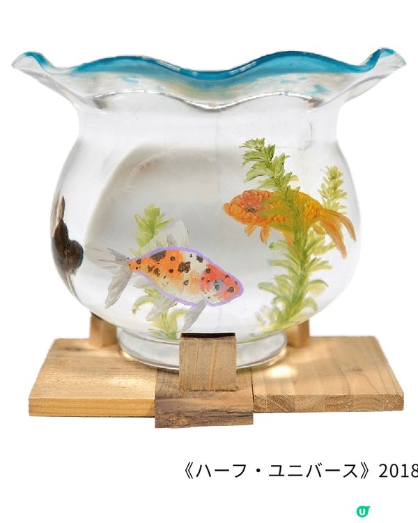 【開眼界系列】畫出嚟嘅2.5D金魚