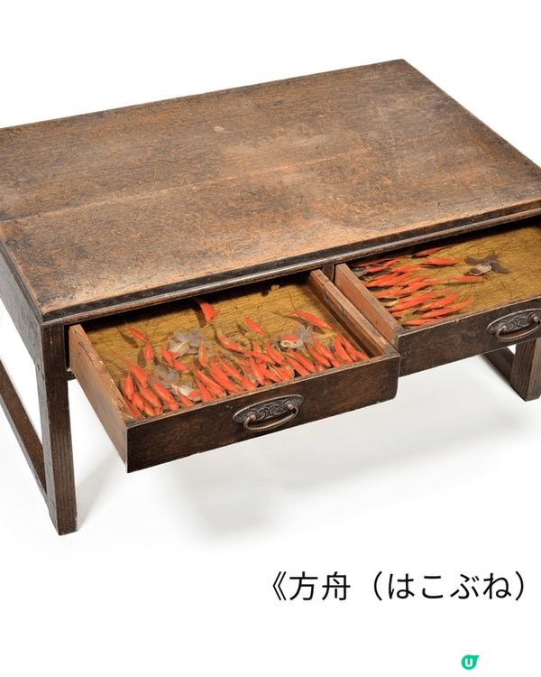 【開眼界系列】畫出嚟嘅2.5D金魚