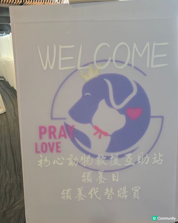 裕美生日 🩷 毛孩招親日 (領養日