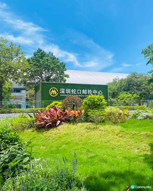 郵輪🛳️中心靚海景🍀 #深圳好去處