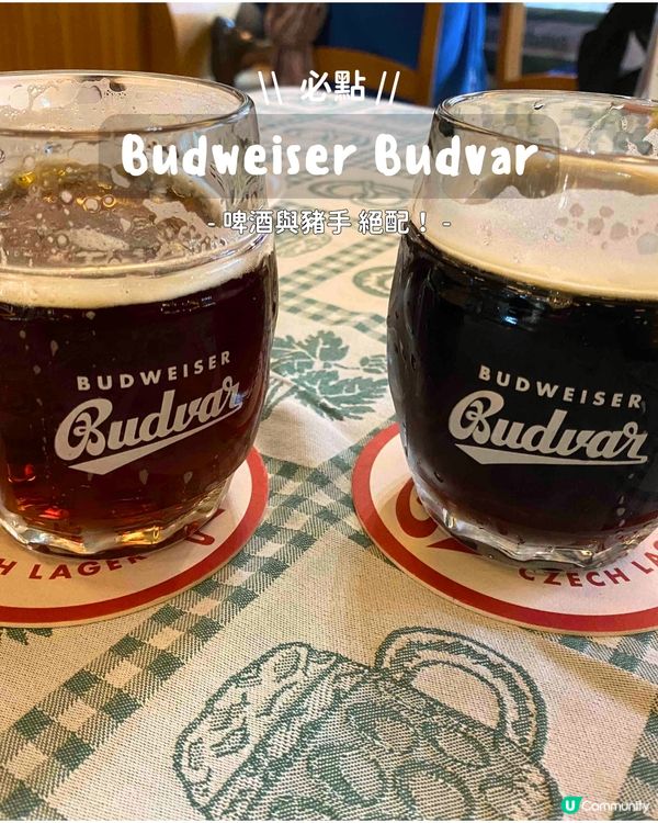 🇦🇹 奧地利維也納 ll 在維也納食德國咸豬手?!