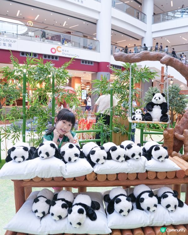 // 🐘見習動物護理員🦁 //