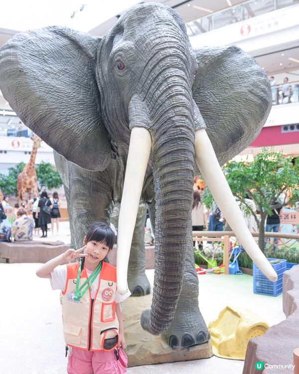 // 🐘見習動物護理員🦁 //