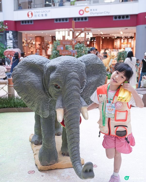 // 🐘見習動物護理員🦁 //