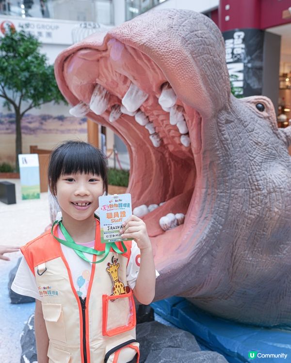 // 🐘見習動物護理員🦁 //