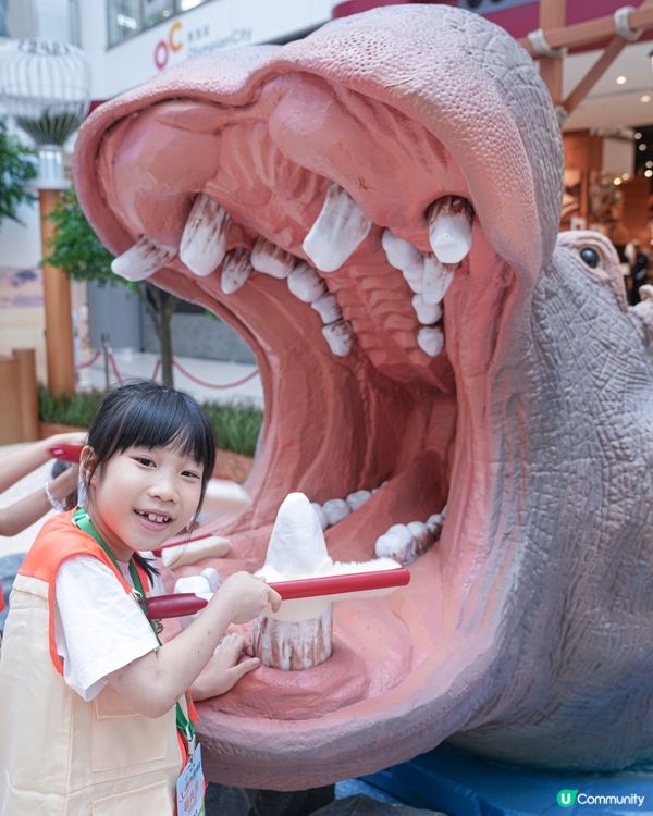 // 🐘見習動物護理員🦁 //