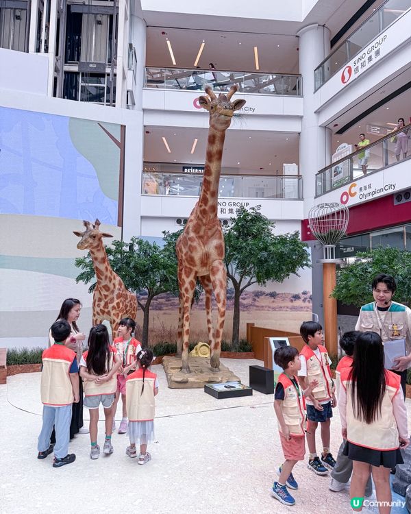 // 🐘見習動物護理員🦁 //