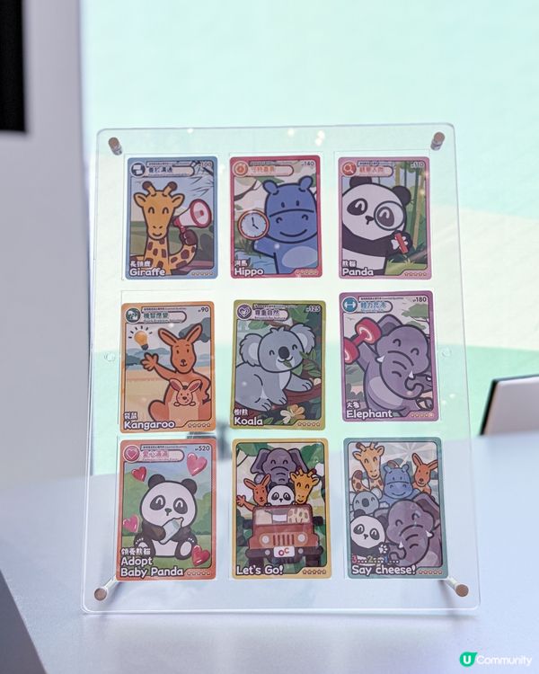 // 🐘見習動物護理員🦁 //