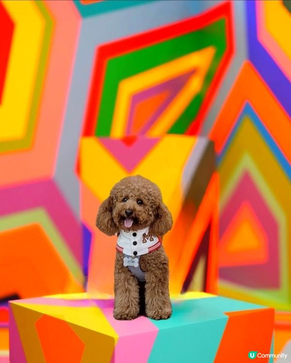 千變萬化錯視藝術展覽！🤩 8月將軍澳見！