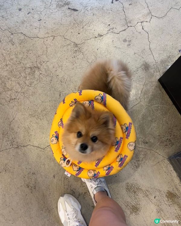 弘大電影主題Cafe🎬！王家衛迷必去！😍