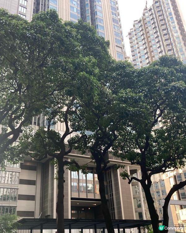 實現夢想在油街