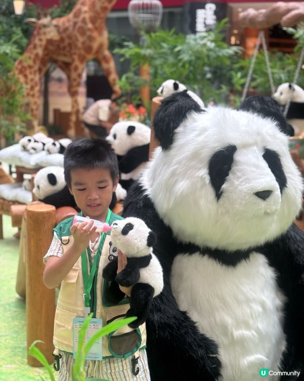 暑假好去處 - 見習動物護理員