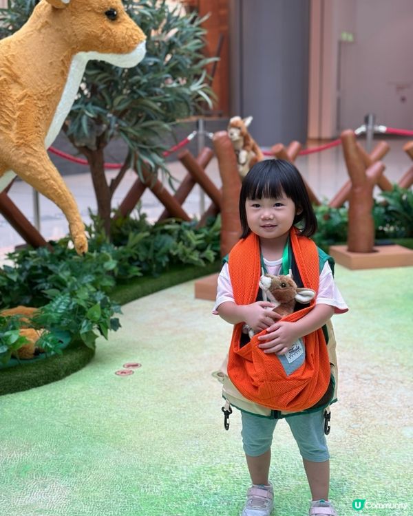 暑假好去處 - 見習動物護理員