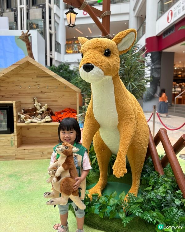 暑假好去處 - 見習動物護理員