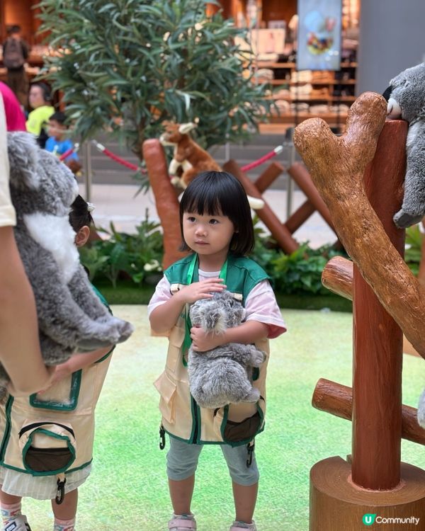 暑假好去處 - 見習動物護理員