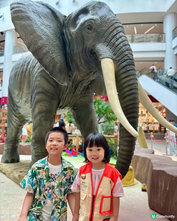 暑假好去處 - 見習動物護理員