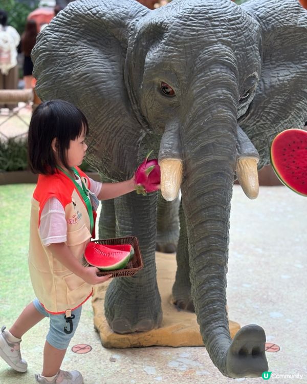 暑假好去處 - 見習動物護理員