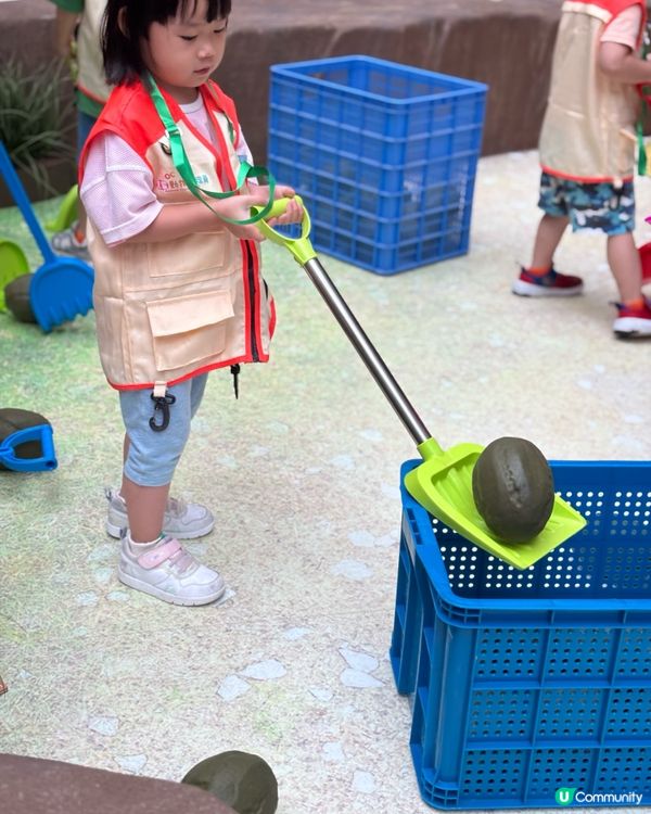 暑假好去處 - 見習動物護理員
