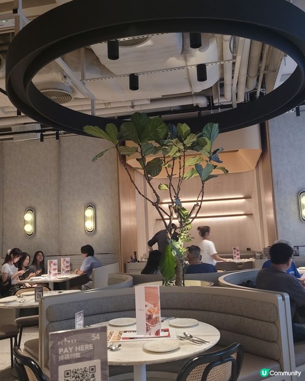 黑松露意粉😋！觀塘浪漫西餐推介！🍝