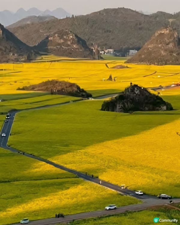 羅平油菜花&九龍瀑布