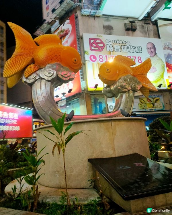 金魚街巨型金魚雕塑，水渠道休憩處出沒！📸 打卡必去！🐠