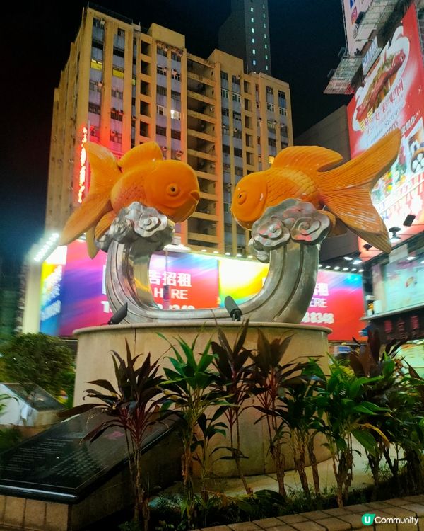 金魚街巨型金魚雕塑，水渠道休憩處出沒！📸 打卡必去！🐠