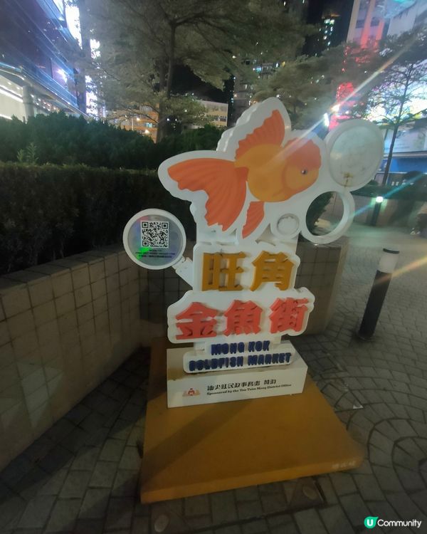 金魚街巨型金魚雕塑，水渠道休憩處出沒！📸 打卡必去！🐠